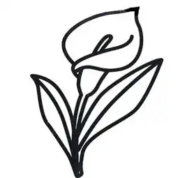花简画怎么画.