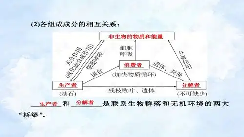 2022届高考一轮复习人教版生态系统的结构46张课件.ppt网络游戏文档类资源csdn下载