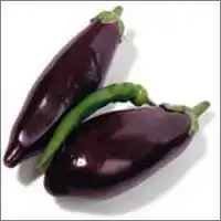 茄子不为人知的营养价值