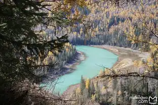 心旅69北疆秋色之喀纳斯喀纳斯湖景区