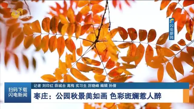 枣庄公园秋景美如画色彩斑斓惹人醉