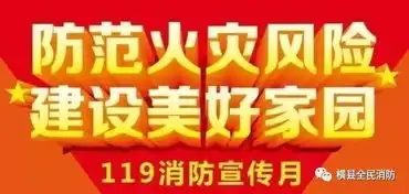 119宣传月横县消防火热开展119宣传月活动