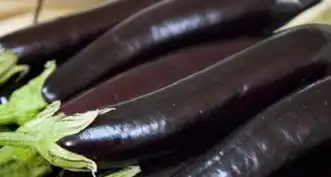 经常食茄子的人,身体会发生3大惊喜变化但有2种人不能碰