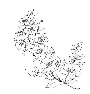 100多张花卉线描手稿素材,你想画的花卉手稿,都在这里