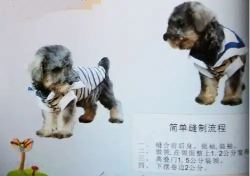 泰迪狗的衣服怎么做图片
