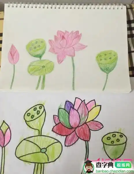 荷花简笔画,七彩荷花