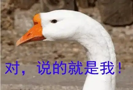 太昊路上一群大鹅喝醉后,现场表演飞鹅扑火