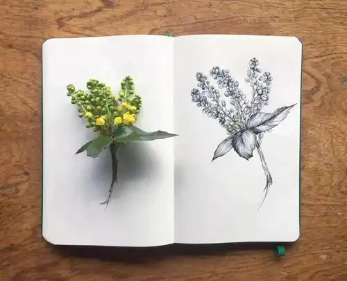 简单的线条,超美的画