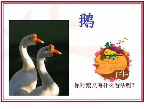 牛和鹅这一课我被鹅攻击时的场面是什么样的