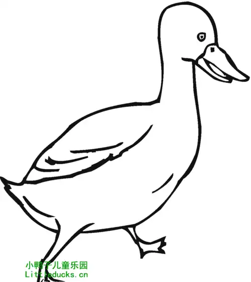 鹅的简笔画图片大全32