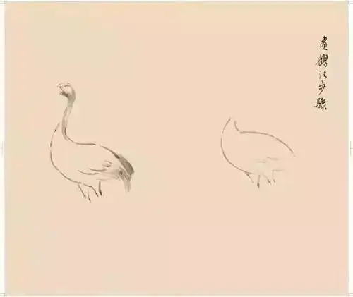 徐悲鸿手稿教你画国画花鸟,太珍贵了