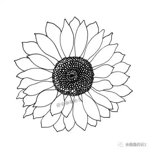 一支笔画一朵花,心若向阳花自盛开