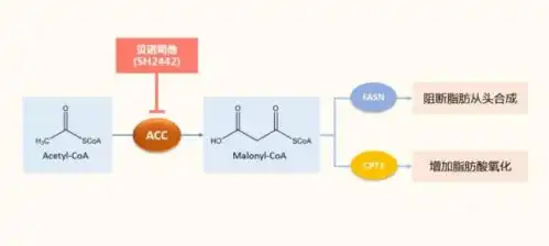 圣和药业持续加大研发投入,打造创新型价值药企