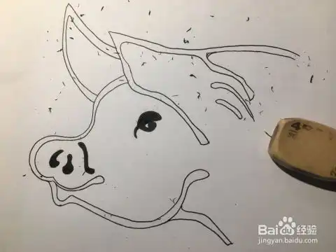 2019猪年来了画一只卡通猪吧猪头简笔画儿童画