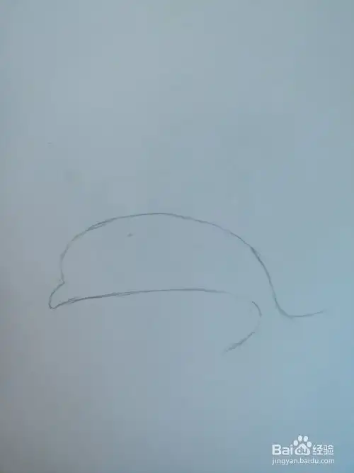 简笔画画海豚