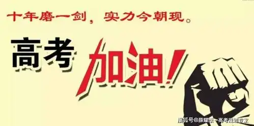 指导