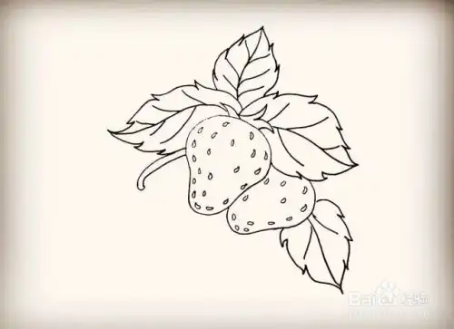 简笔画怎么画草莓