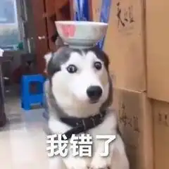 丧表情包我的快乐已经不在,一起当个垃圾好吗