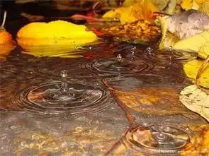 醉美秋色奇异青海
