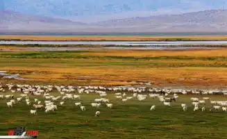 说福建没有秋天的站出来全国最美秋景,你最爱哪里