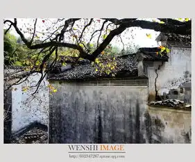 徽州塔川秋色专辑不爱游泳的鱼