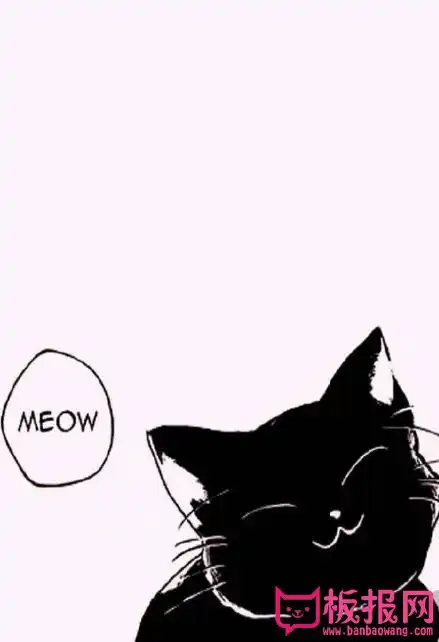可爱的小黑猫手抄报插图