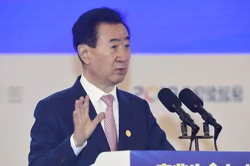 今年不买房,5年后是黄金价还是白菜价王健林两句话说透