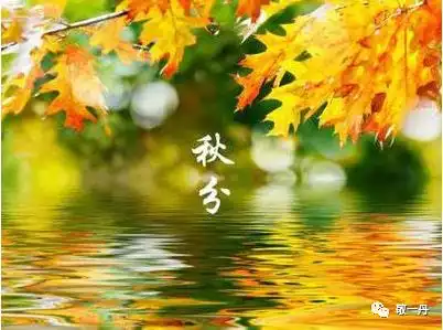 敬一丹秋分舒朗时节,快意秋分