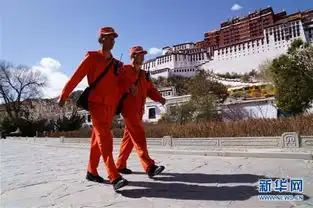 布达拉宫消防演练忙