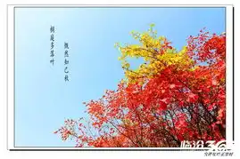 安泽红叶美秋色也迷人