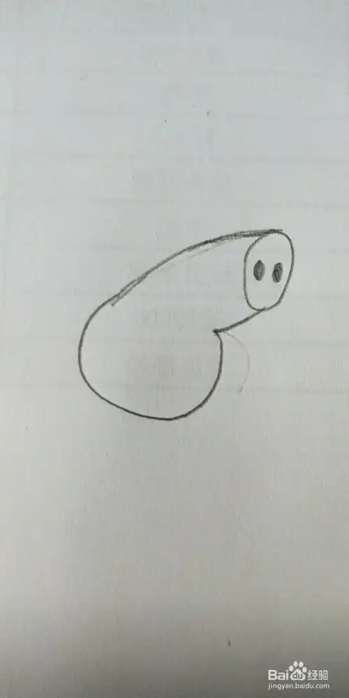 小猪佩奇简笔画教程