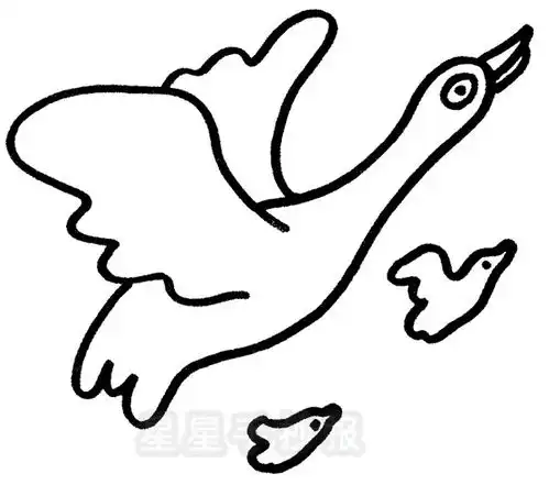 大雁简笔画