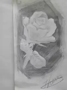 最全幼儿卡通动漫人物简笔画大全,儿童动物简笔画教程大全板报网