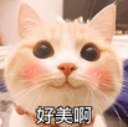 最后一眼秋景泰安高校秋景合集来啦,有你的母校吗