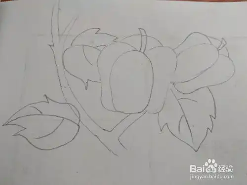 适合宝宝的简笔画蔬菜彩椒青椒的画法