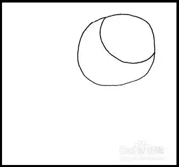 怎样画简笔画花卉玫瑰2