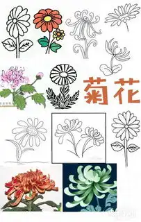 怎么用简笔画的方法画花卉