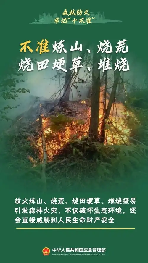 损失1416953.95元,被判刑8个月69岁老人我真的后悔了