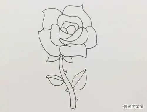 玫瑰花简笔画
