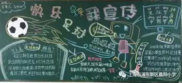 晨阳小学快乐足球精彩你我