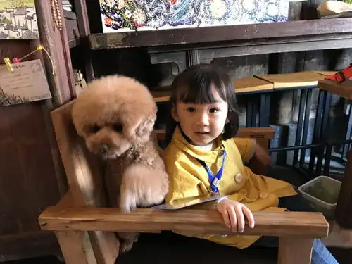 有一种美,叫徽州的秋色