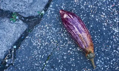 炒茄子时,记得放3味去1味,茄子不吸油,入味更好吃