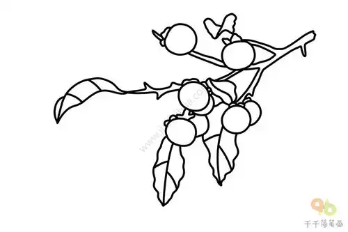 秋天简笔画果实成熟啦秋天简笔画