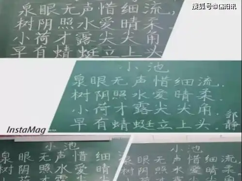 记罗山县南街小学汉语言文字推广系列活动