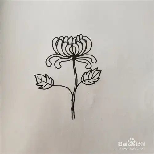如何画花卉类简笔画