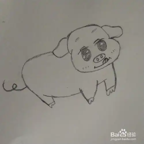 2019小猪简笔画