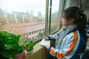 厉害了杭州学生手绘黑板报堪比海报