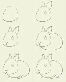 100种动物简笔画画法,拿去临摹