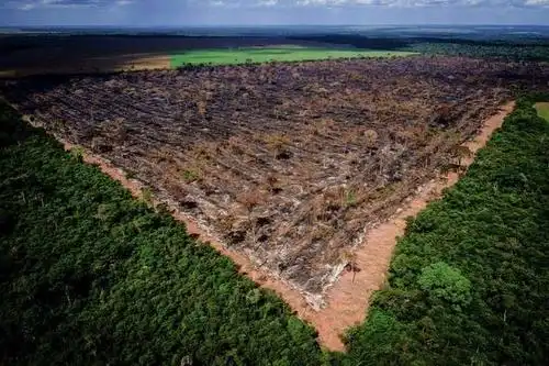 人为纵火亚马逊雨林火灾不断,地球的未来实在堪忧