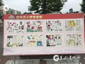 多彩贵州网教育频道贵州新闻门户网站